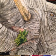 Elephant Artwork by Amareza Buys