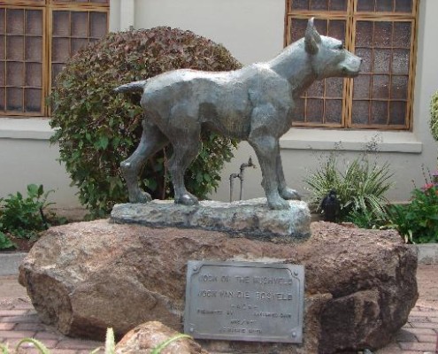 Kruger Mountain And Jock Of The Bushveld Route Kruger Park Safari Blog Kruger Mountain And Jock Of The Bushveld Route Kruger Park Safari Blog