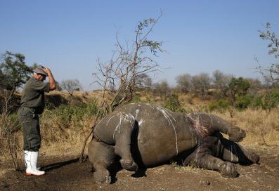 Drought in Kruger National Park