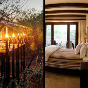 Comparing a Luxury Lodge and Tree-house