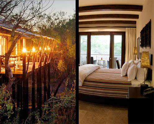 Comparing a Luxury Lodge and Tree-house