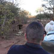 Guests filming lions at a Private Game Reserve
