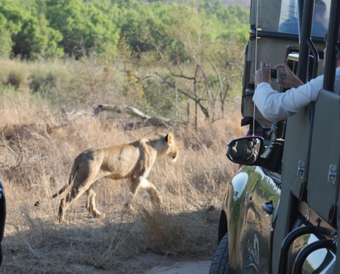South Africa being a incredible place to visit